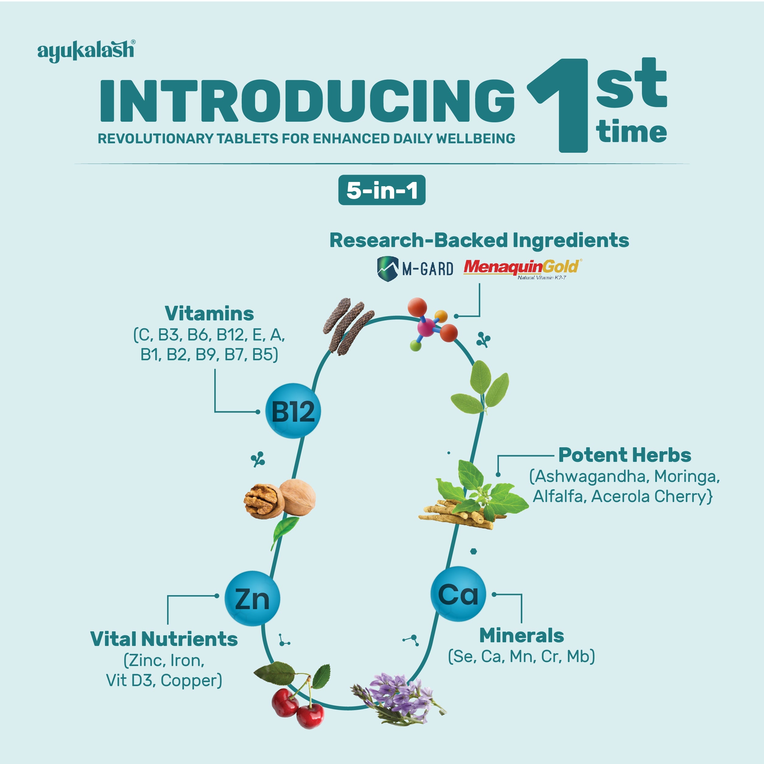 Ingredients of Daily health & Immunity Box